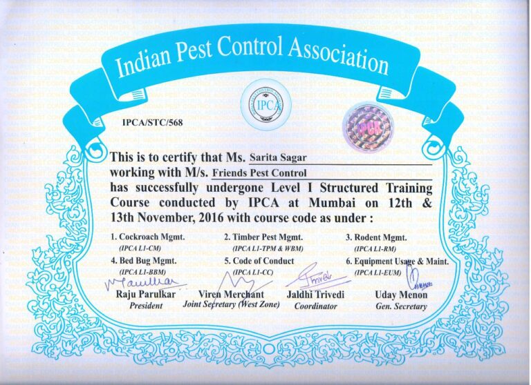 WhatsApp Image 2024-12-03 at 8.52.51 PM (2)